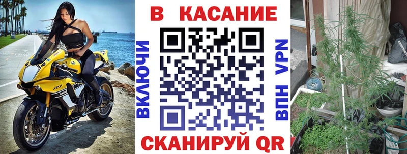 Виды наркотиков купить Палласовка КОКАИН  Бошки Шишки  АМФЕТАМИН  Гашиш  Псилоцибиновые грибы  Меф мяу мяу 