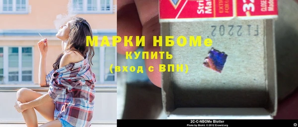 хмурый Магас