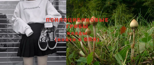 эйфоретик Лихославль