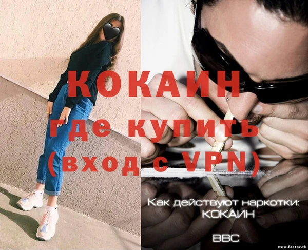 хмурый Магас