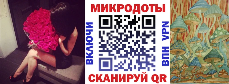 МЕГА   Палласовка  Псилоцибиновые грибы Psilocybe 